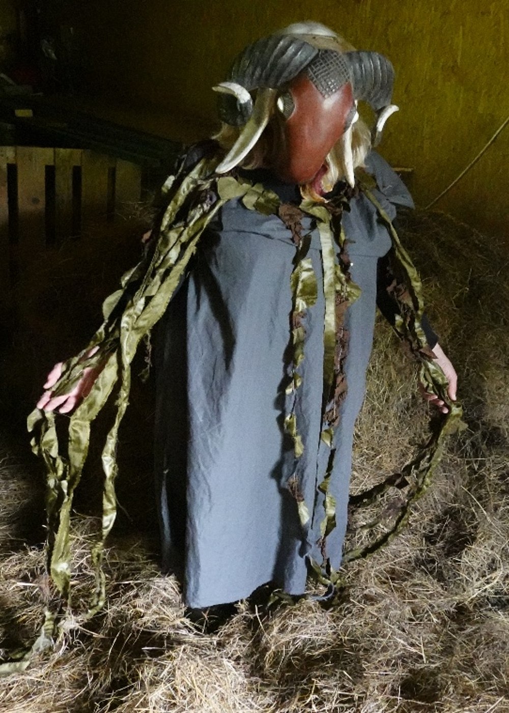 Mask being of Nemoland