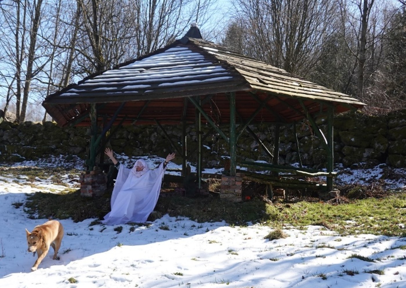 Wodnica — the well