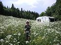 DSCN0556