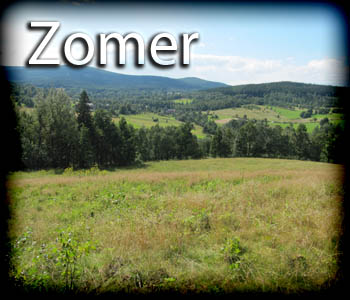 Zomer