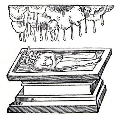 image4.jpg