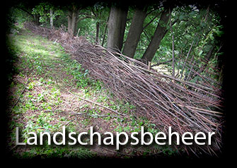 Landschapsbeheer