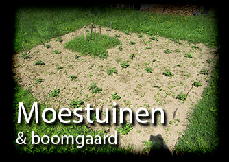 Moestuinen